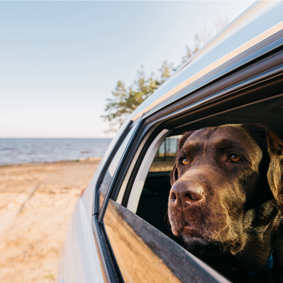 11 Useful Gifts for Realtors in 2021